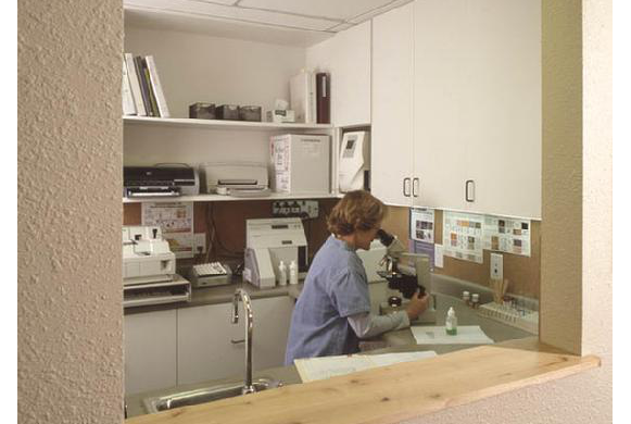 vet looking into microscope inside lab